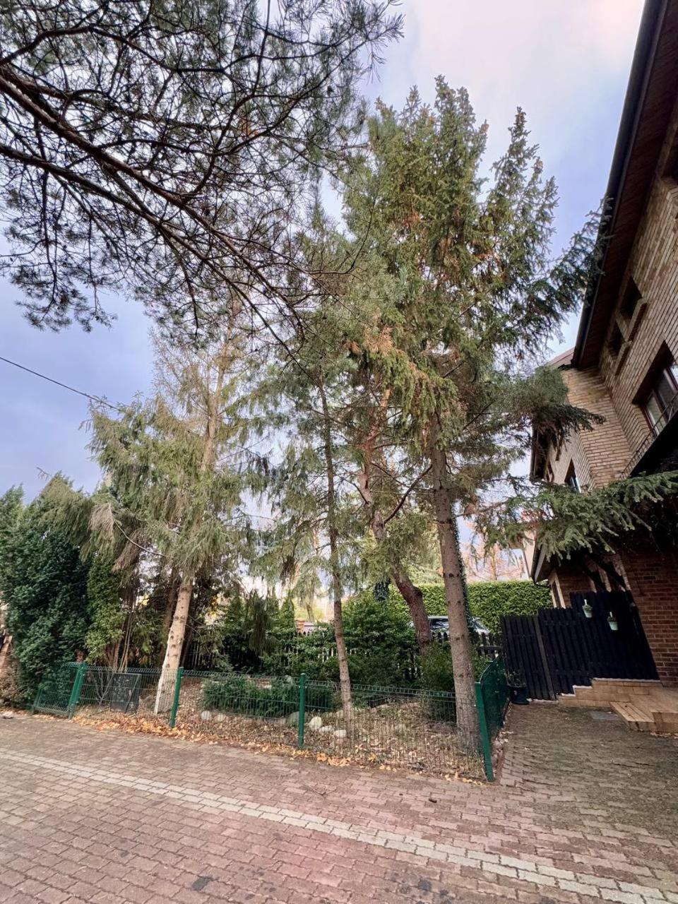 Vector Home Varšava Exteriér fotografie